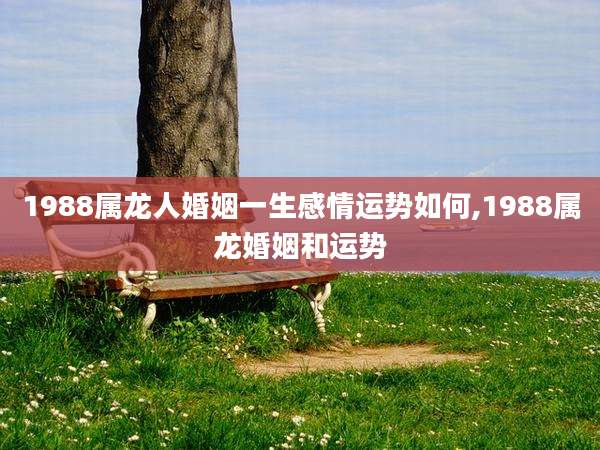 1988属龙人婚姻一生感情运势如何,1988属龙婚姻和运势