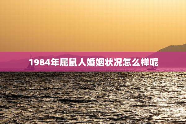 1984年属鼠人婚姻状况怎么样呢