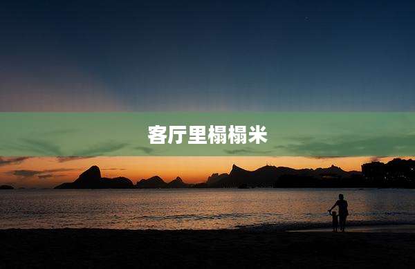 客厅里榻榻米