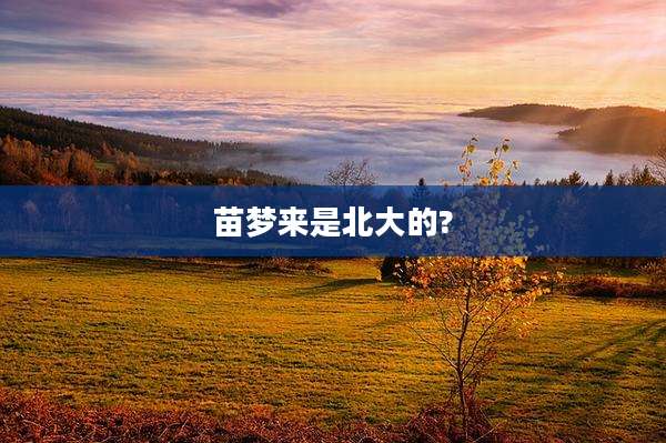 苗梦来是北大的?