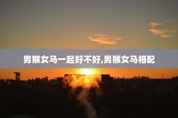 男猴女马一起好不好,男猴女马相配