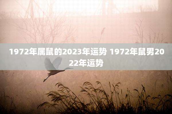 1972年属鼠的2023年运势 1972年鼠男2022年运势
