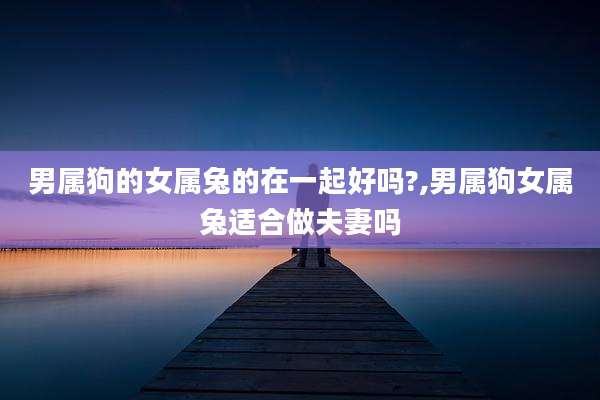 男属狗的女属兔的在一起好吗?,男属狗女属兔适合做夫妻吗