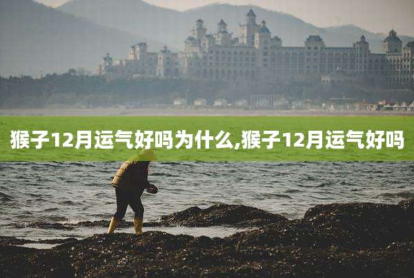 猴子12月运气好吗为什么,猴子12月运气好吗