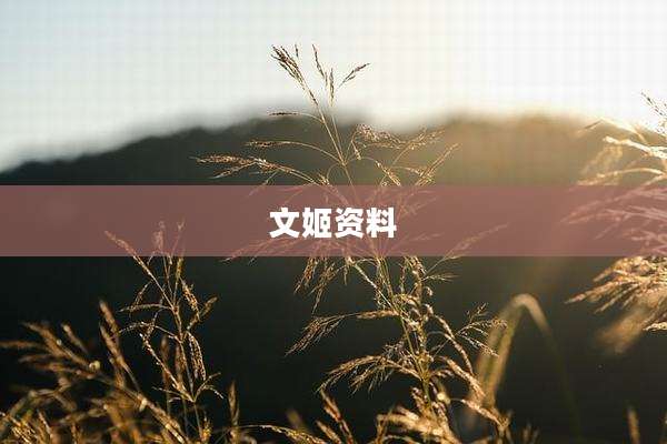 文姬资料