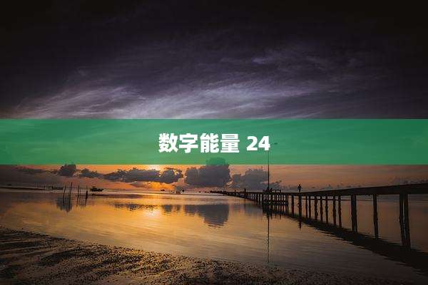 数字能量 24