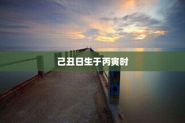 己丑日生于丙寅时