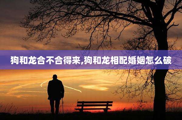 狗和龙合不合得来,狗和龙相配婚姻怎么破
