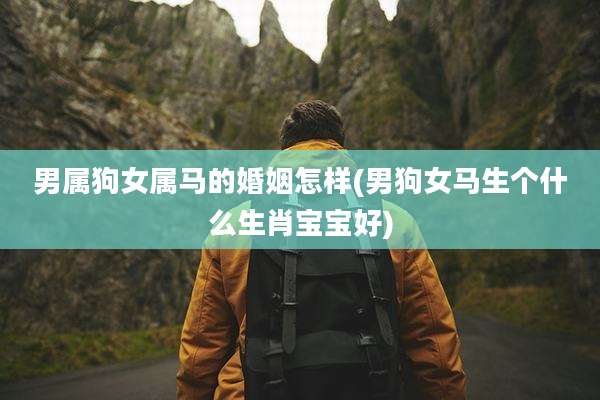 男属狗女属马的婚姻怎样(男狗女马生个什么生肖宝宝好)