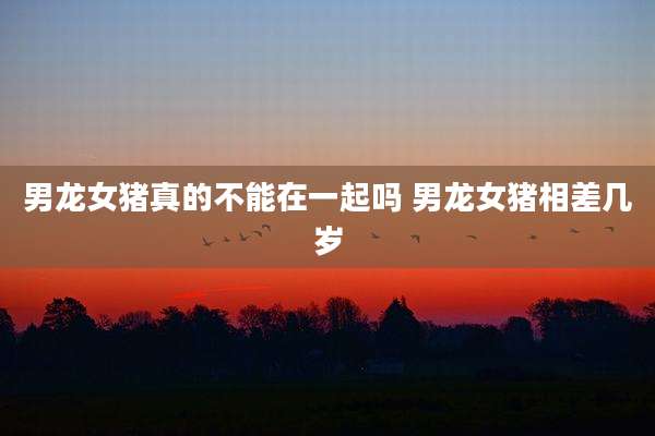 男龙女猪真的不能在一起吗 男龙女猪相差几岁