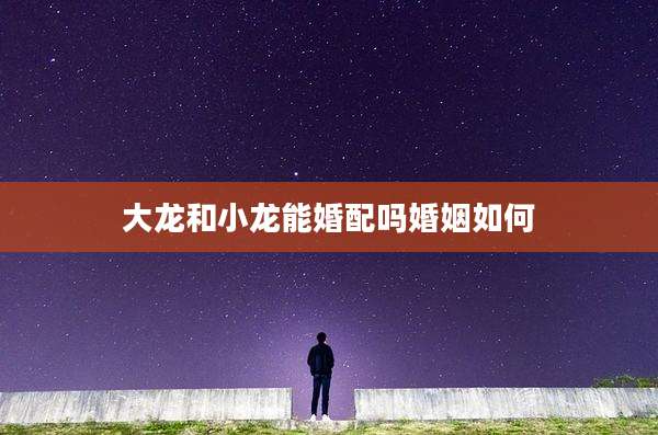 大龙和小龙能婚配吗婚姻如何