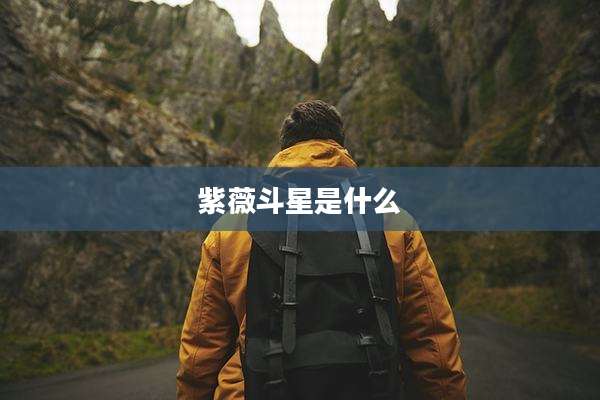 紫薇斗星是什么