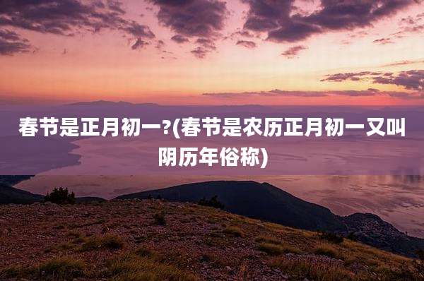 春节是正月初一?(春节是农历正月初一又叫阴历年俗称)