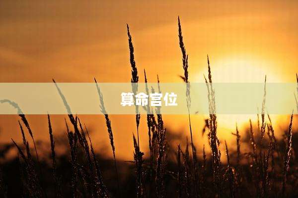算命宫位