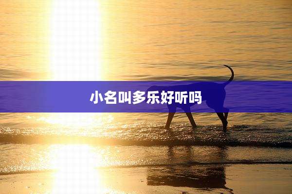 小名叫多乐好听吗