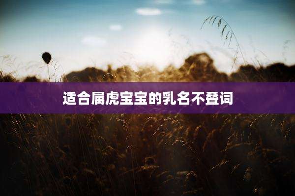 适合属虎宝宝的乳名不叠词