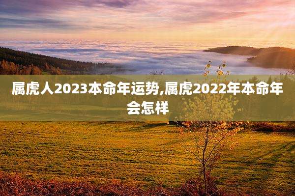 属虎人2023本命年运势,属虎2022年本命年会怎样