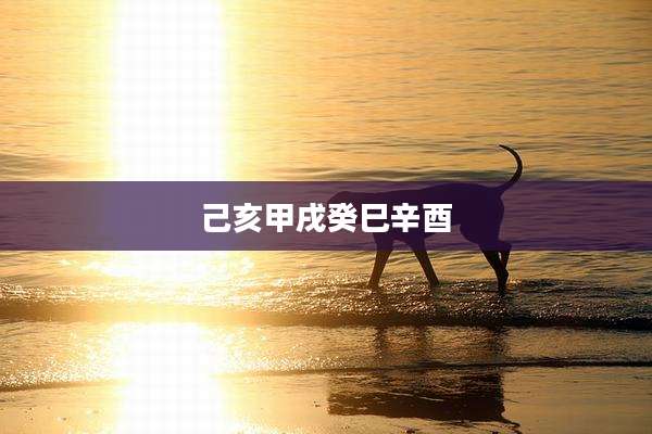 己亥甲戌癸巳辛酉