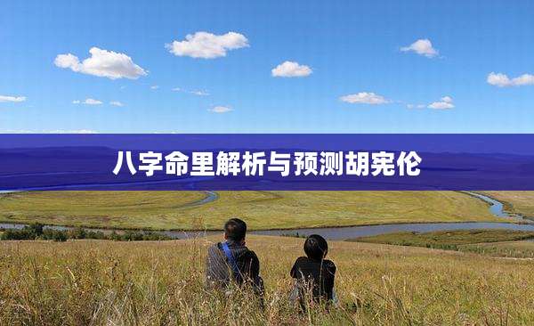 八字命里解析与预测胡宪伦