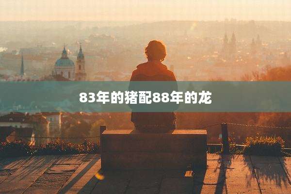 83年的猪配88年的龙