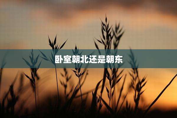 卧室朝北还是朝东