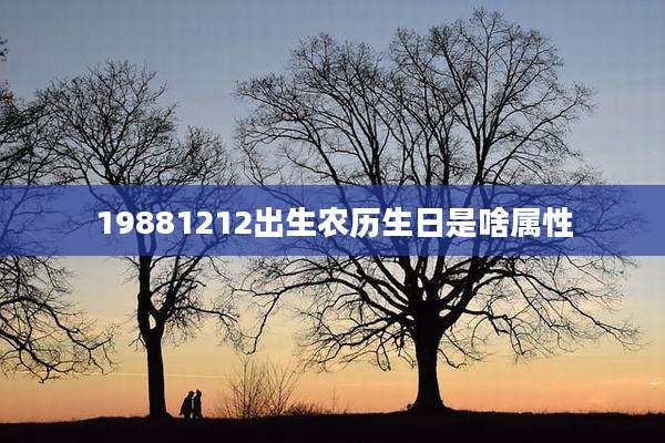 19881212出生农历生日是啥属性