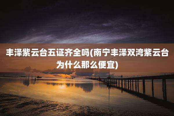 丰泽紫云台五证齐全吗(南宁丰泽双湾紫云台为什么那么便宜)