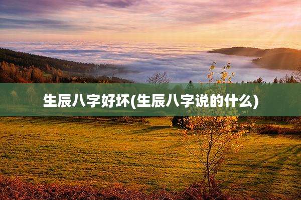 生辰八字好坏(生辰八字说的什么)