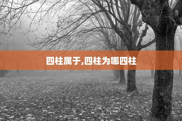 四柱属于,四柱为哪四柱