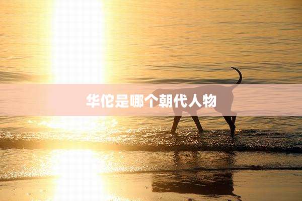 华佗是哪个朝代人物
