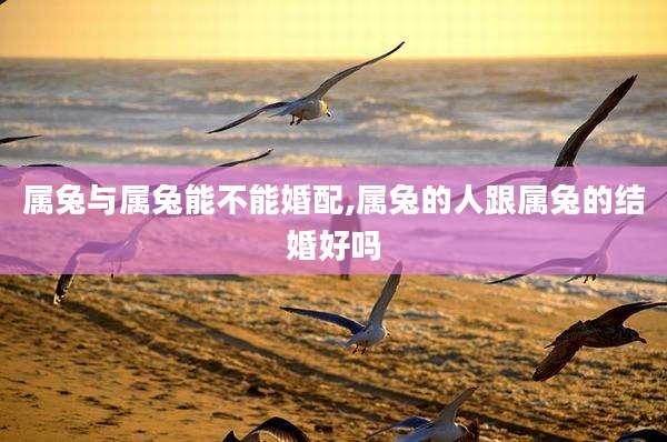 属兔与属兔能不能婚配,属兔的人跟属兔的结婚好吗