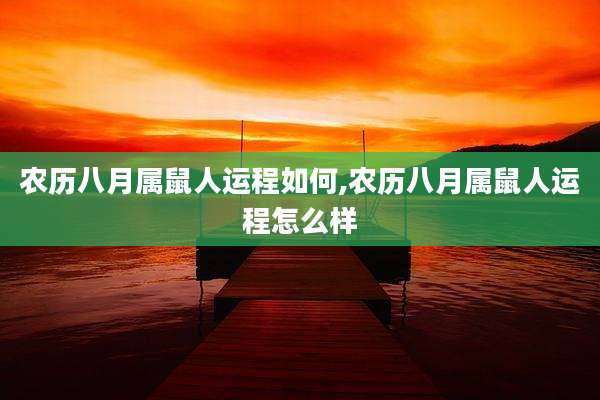 农历八月属鼠人运程如何,农历八月属鼠人运程怎么样