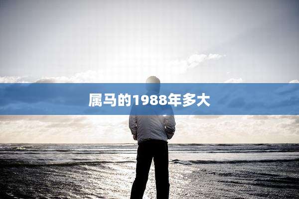 属马的1988年多大