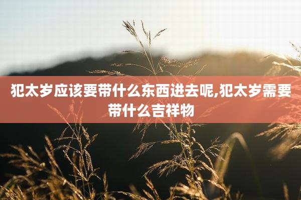 犯太岁应该要带什么东西进去呢,犯太岁需要带什么吉祥物