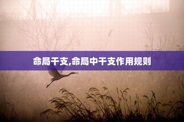命局干支,命局中干支作用规则