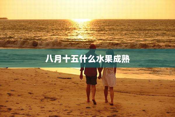 八月十五什么水果成熟