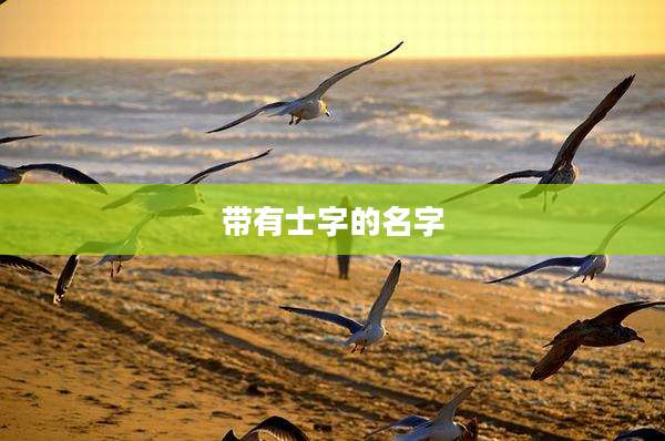 带有士字的名字