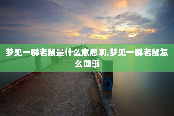 梦见一群老鼠是什么意思啊,梦见一群老鼠怎么回事