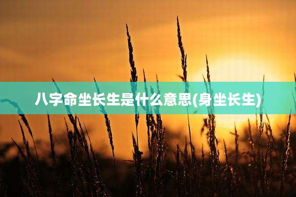 八字命坐长生是什么意思(身坐长生)