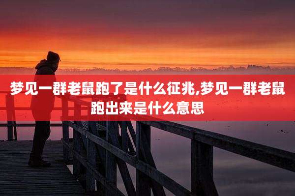梦见一群老鼠跑了是什么征兆,梦见一群老鼠跑出来是什么意思