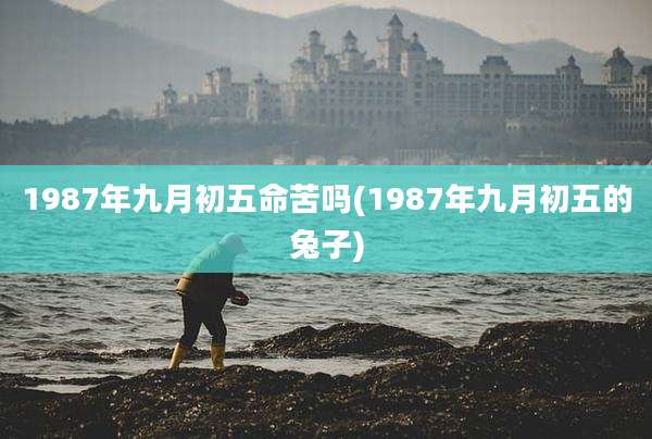 1987年九月初五命苦吗(1987年九月初五的兔子)