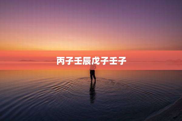 丙子壬辰戊子壬子
