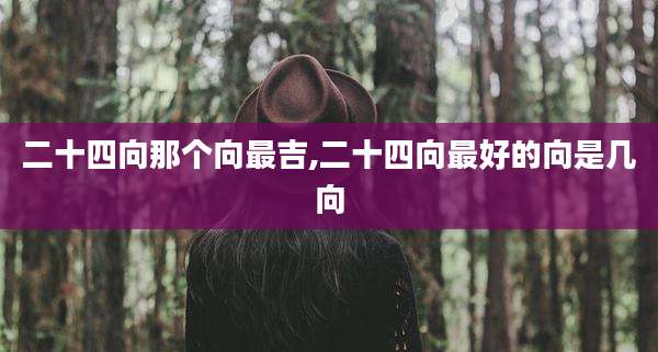 二十四向那个向最吉,二十四向最好的向是几向