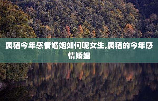 属猪今年感情婚姻如何呢女生,属猪的今年感情婚姻