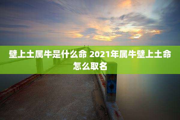 壁上土属牛是什么命 2021年属牛壁上土命怎么取名