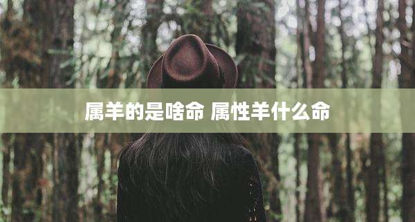 属羊的是啥命 属性羊什么命