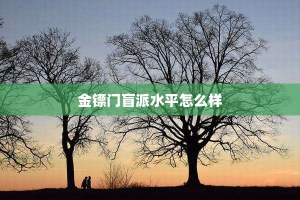 金镖门盲派水平怎么样