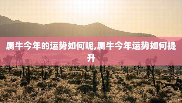 属牛今年的运势如何呢,属牛今年运势如何提升
