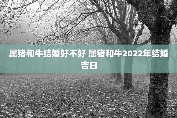 属猪和牛结婚好不好 属猪和牛2022年结婚吉日