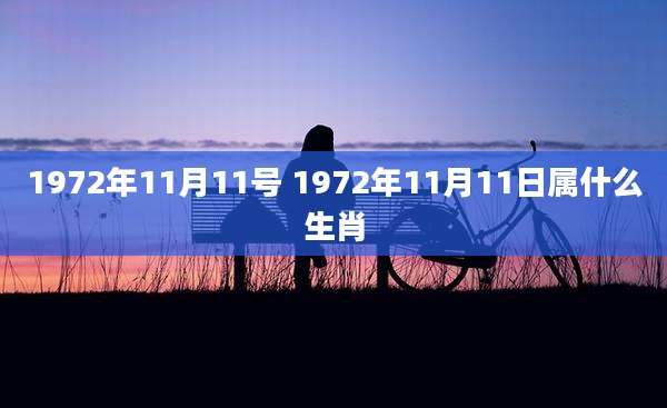 1972年11月11号 1972年11月11日属什么生肖